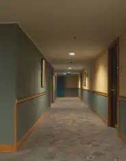 Victoria's Pro Painting