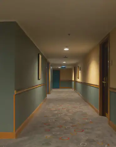 Victoria's Pro Painting