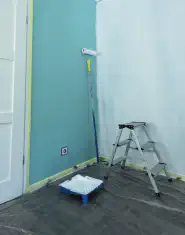 Victoria's Pro Painting
