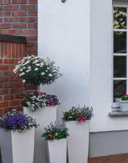 Victoria's Pro Painting