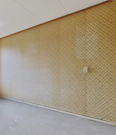 Wallpaper Removal